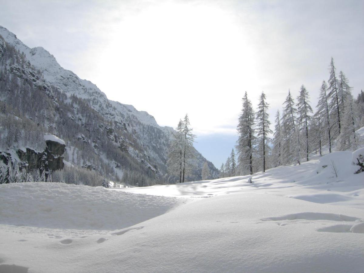 Residence Oberteil Gressoney-La-Trinite Ngoại thất bức ảnh